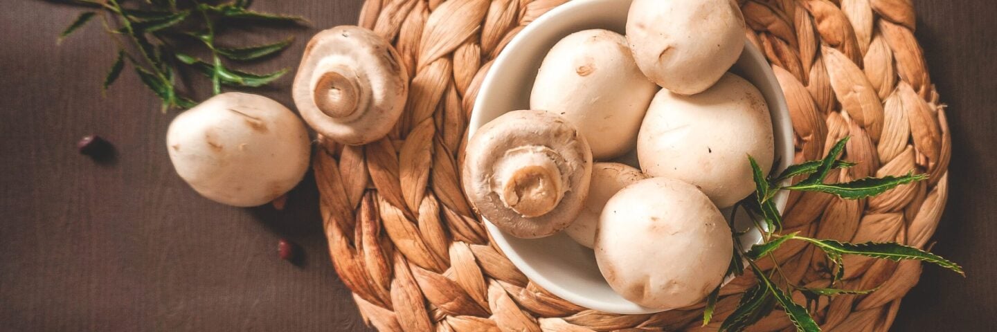 Health Benefits of Eating mushrooms