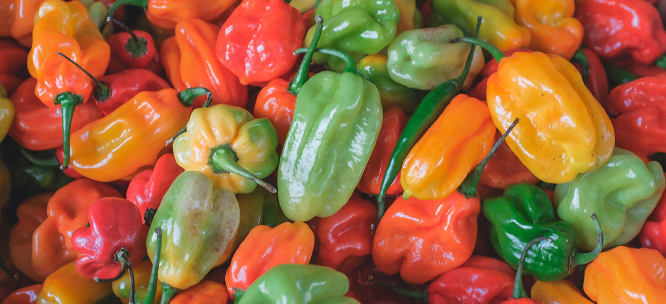 Top 10 Ways to Bell Peppers - Have A Plant