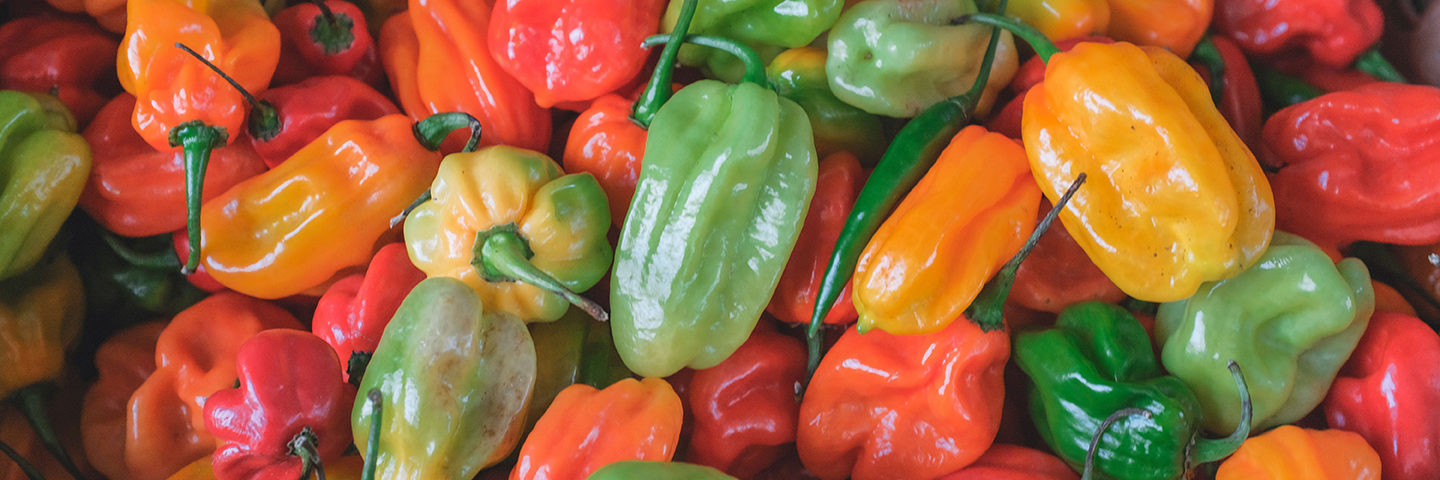 Green Bell Pepper: Important Facts, Health Benefits, and Recipes