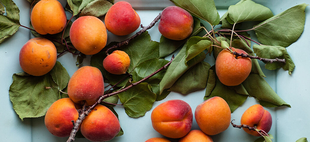 Top 10 Ways to Enjoy Apricots - Have A Plant