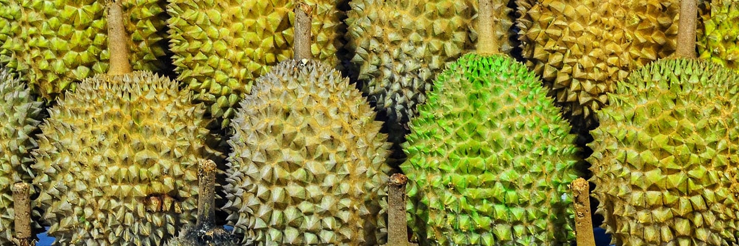 Durian