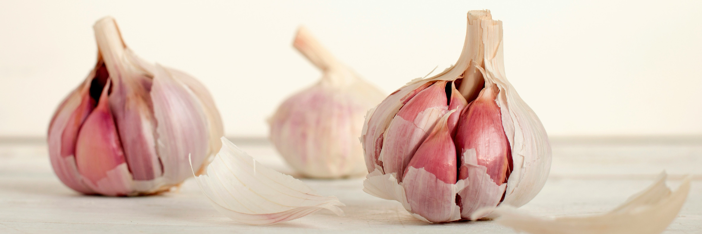 heads of garlic