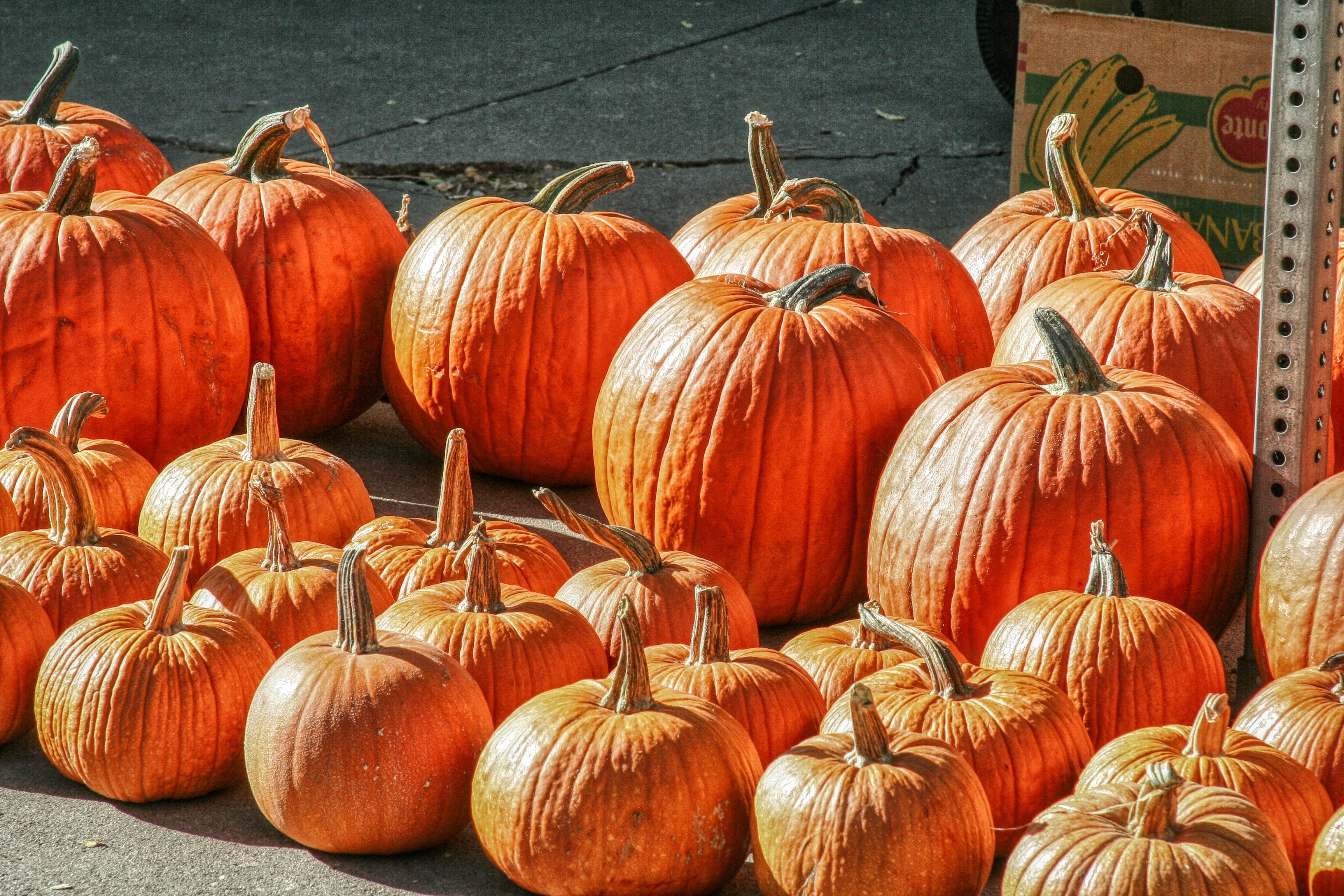 Pumpkins