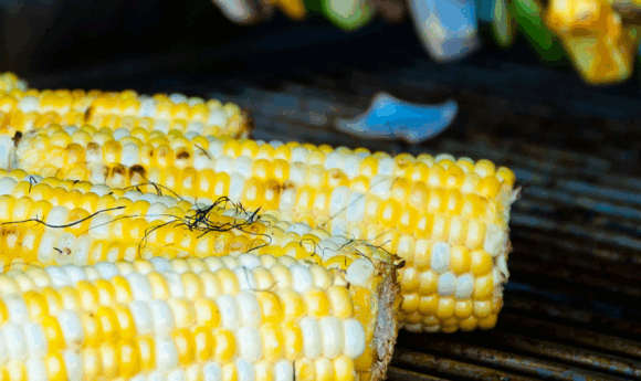 grilled corn on the cob