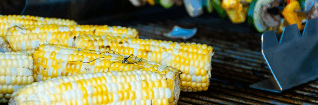 grilled corn on the cob
