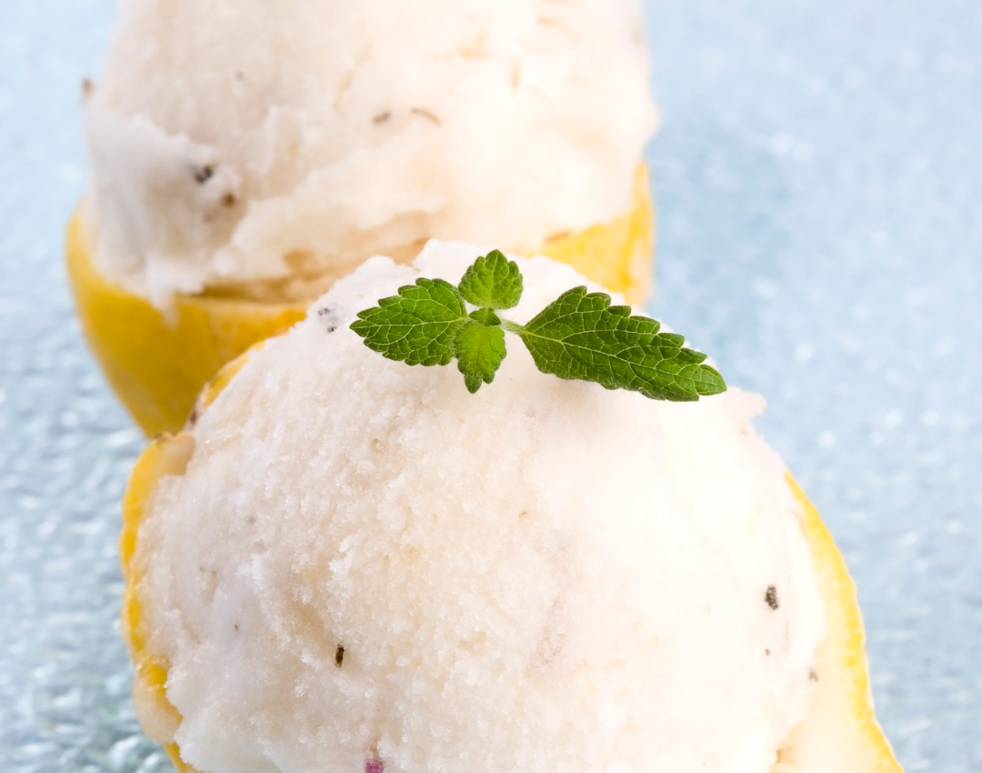 Berry Lemon Sorbet in Lemon Cups Recipe Have A Plant
