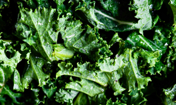 close up of kale leaves