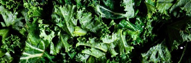 close up of kale leaves