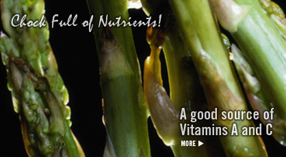 Click to Visit Our Fruit & Veggie Database: Asparagus