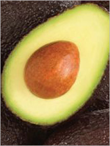 Avocado