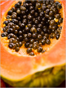 Papaya