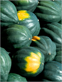 Fruit and Vegetable Database : Acorn Squash Nutrition, Storage, Selection, Preparation: Benefits to Health : Fruits And Veggies More Matters.org