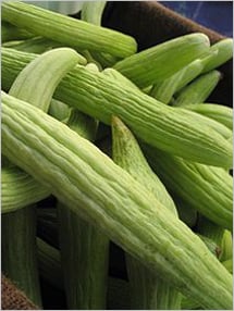 Fruit and Vegetable Database : Armenian Cucumbers Nutrition, Storage, Selection, Preparation: Benefits to Health : Fruits And Veggies More Matters.org