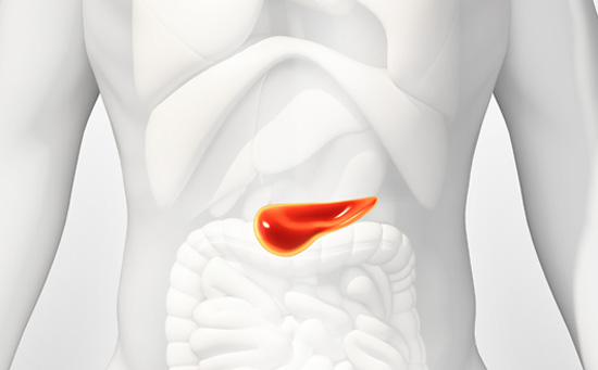 pancreas location ribs