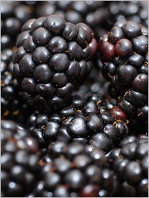 blackberries