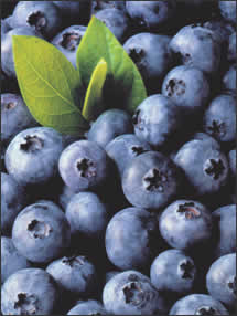 blueberries