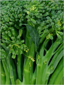 broccolini