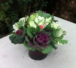 cabbage centerpiece