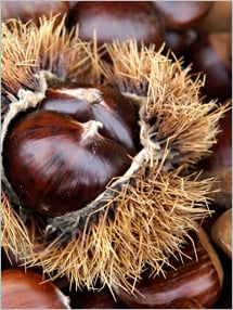 Nut Nutrition Database: Chestnuts. Fruits And Veggies More Matters.org