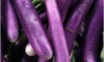 Chinese Eggplants Have A Plant,Honeycomb Tripe Recipe