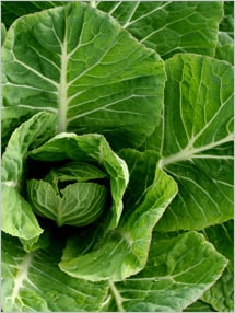 collard_greens