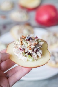 cranberry-chicken-salad-on-apple-slices-4-683x1024