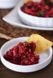 cranberry-salsa3