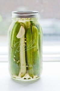 dill pickles