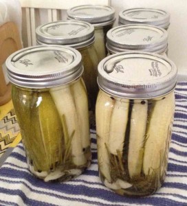 dill zucchini pickles