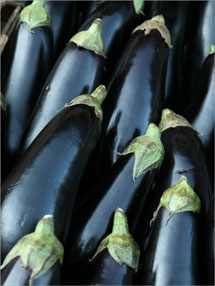 eggplant