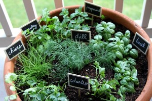 herb garden