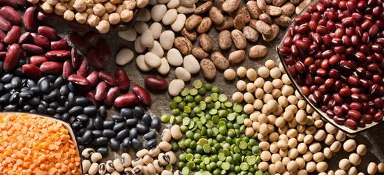 Insider's Viewpoint: Help Your Pulse with Pulses! - Have A Plant