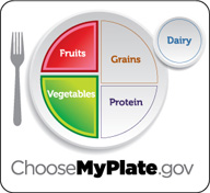 Healthy Plate Icon Replaces MyPyramid : Fruits And Veggies More Matters.org