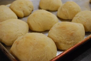 orange-buttermilk-dinner-rolls