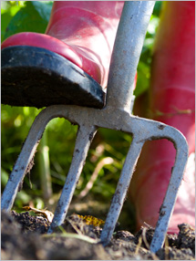 Step 2: Preparing Your Vegetable Garden: Growing Your Vegetable Garden: Fruits And Veggies More Matters.org