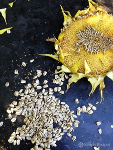sunflower-seeds-and-flower-vertical