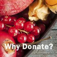 Why Donate?