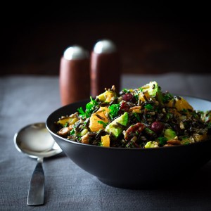 wild-rice-salad-cranberries-apricots-avocado-sq-003