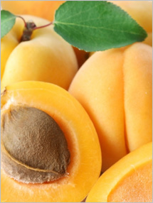Fruit and Vegetable Database : Apricot Nutrition, Storage, Selection, Preparation: Benefits to Health : Fruits And Veggies More Matters.org