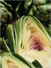 Fruit and Vegetable Database : Artichoke Nutrition, Storage, Selection, Preparation: Benefits to Health : Fruits And Veggies More Matters.org