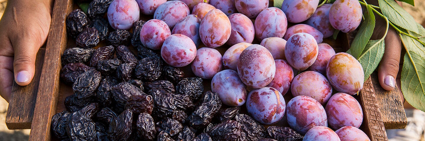 Which Plums are Used for Prunes 
