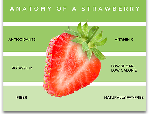 What's in a strawberry? - Have A Plant