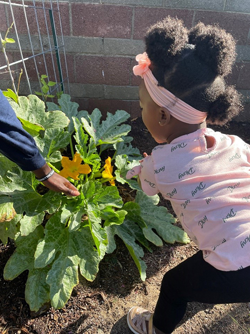 Tips & Tricks To Help Your Kids Enjoy Fruits & Veggies - Have A Plant