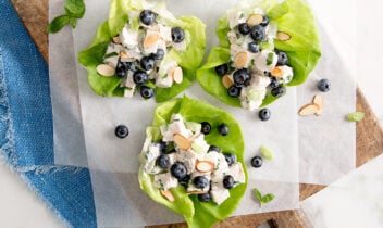 Blueberry Almond Chicken Salad Lettuce Wraps masthead