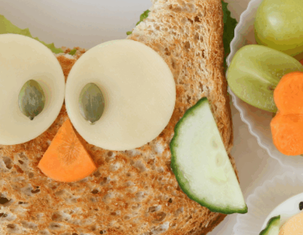 owl food art